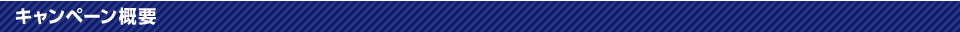 キャンペーン概要