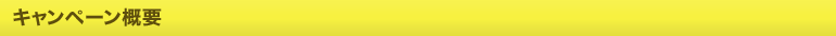 キャンペーン概要