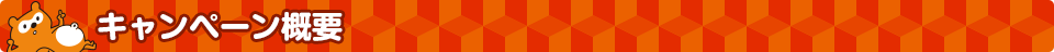 キャンペーン概要