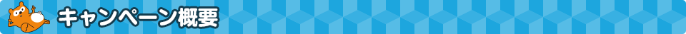 キャンペーン概要