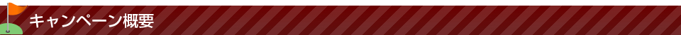 キャンペーン概要