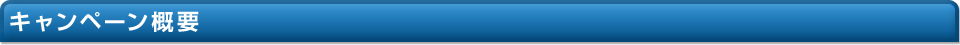 キャンペーン概要