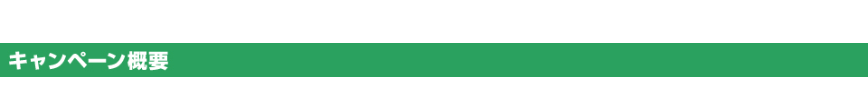 キャンペーン概要