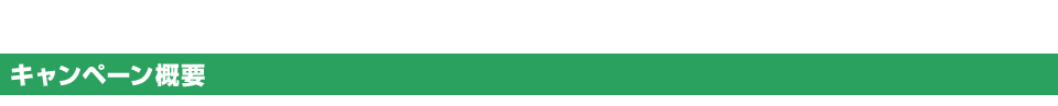 キャンペーン概要