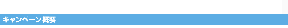 キャンペーン概要