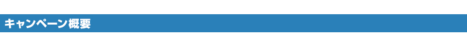 キャンペーン概要