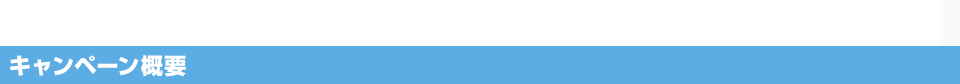 キャンペーン概要