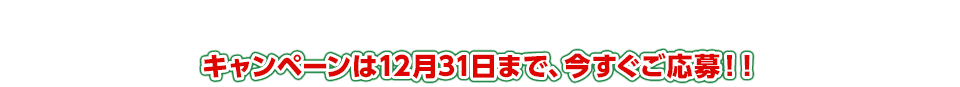 キャンペーンは12月31日まで、今すぐご応募！！