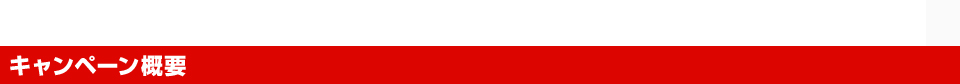 キャンペーン概要