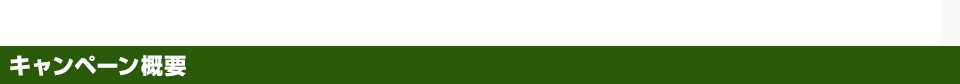 キャンペーン概要
