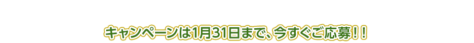 キャンペーンは1月31日まで、今すぐご応募！！
