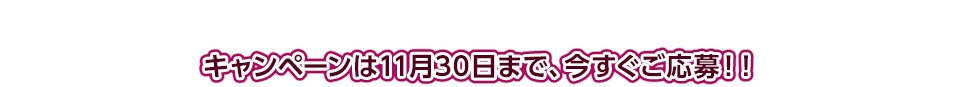 キャンペーンは11月30日まで、今すぐご応募！！