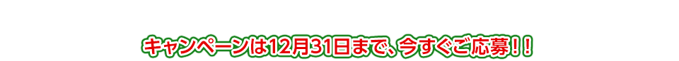 キャンペーンは12月31日まで、今すぐご応募！！