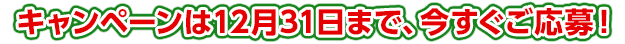 キャンペーンは12月31日まで、今すぐご応募！！