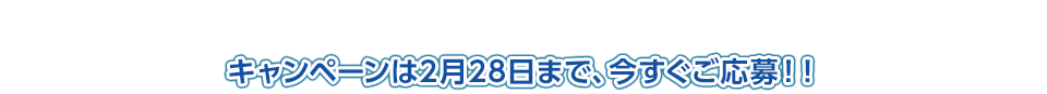 キャンペーンは2月28日まで、今すぐご応募！！