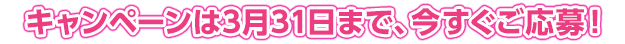キャンペーンは3月31日まで、今すぐご応募！！
