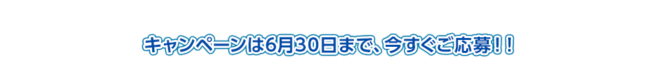 キャンペーンは6月30日まで、今すぐご応募！！