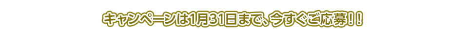 キャンペーンは1月31日まで、今すぐご応募！！