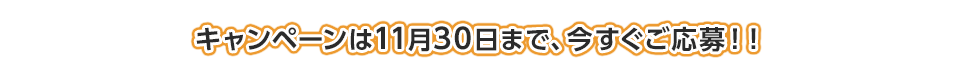 キャンペーンは11月30日まで、今すぐご応募！！