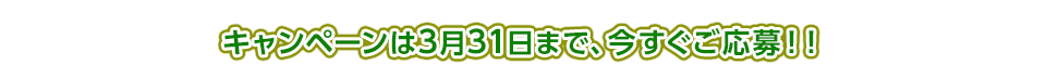 キャンペーンは3月31日まで、今すぐご応募！！