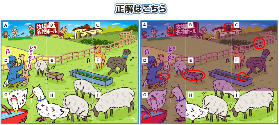 正解はこちら