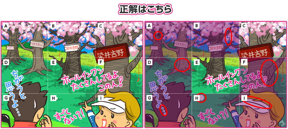 正解はこちら