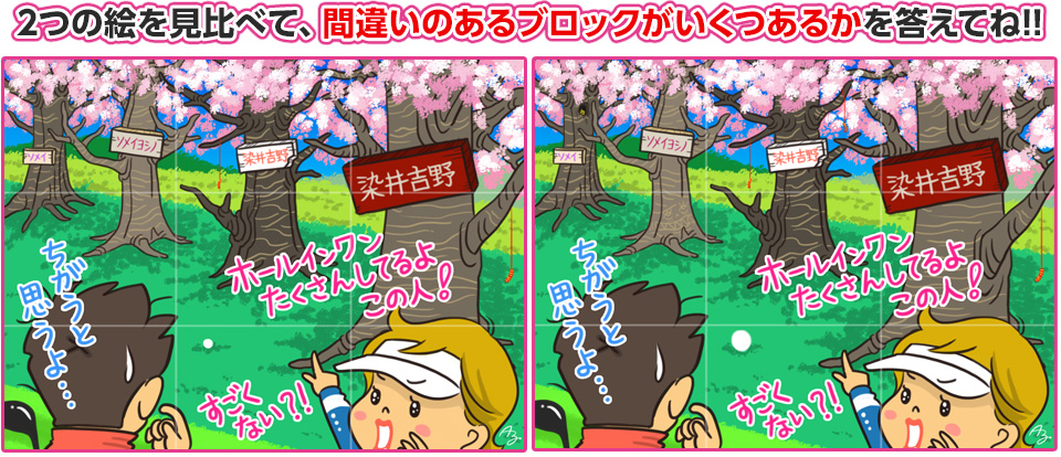 2つの絵を見比べて、間違いのあるブロックがいくつあるかを答えてね