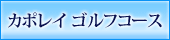 カポレイゴルフコース