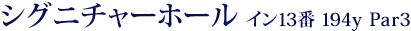【シグニチャーホール】≪イン13番　194y Par3≫