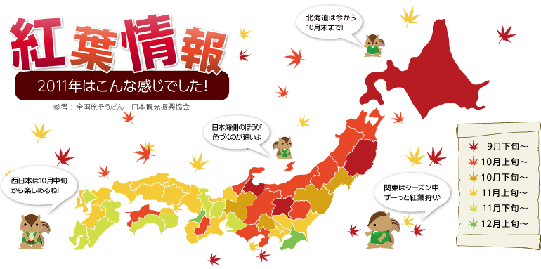 紅葉情報