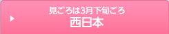 特別プランも作りました! 西日本